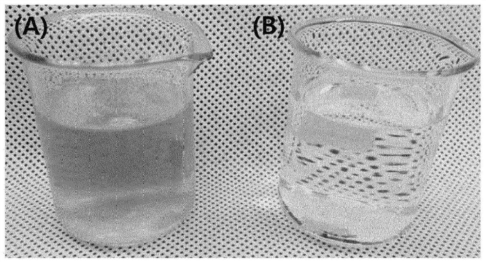 Composition for preventing, alleviating or treating allergic skin diseases, containing, as active ingredient, extract of gardenia fruits from which pigments are removed