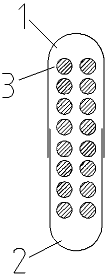 Agarose capsule and preparation method thereof