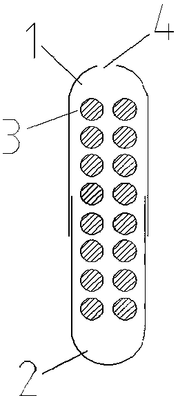 Agarose capsule and preparation method thereof