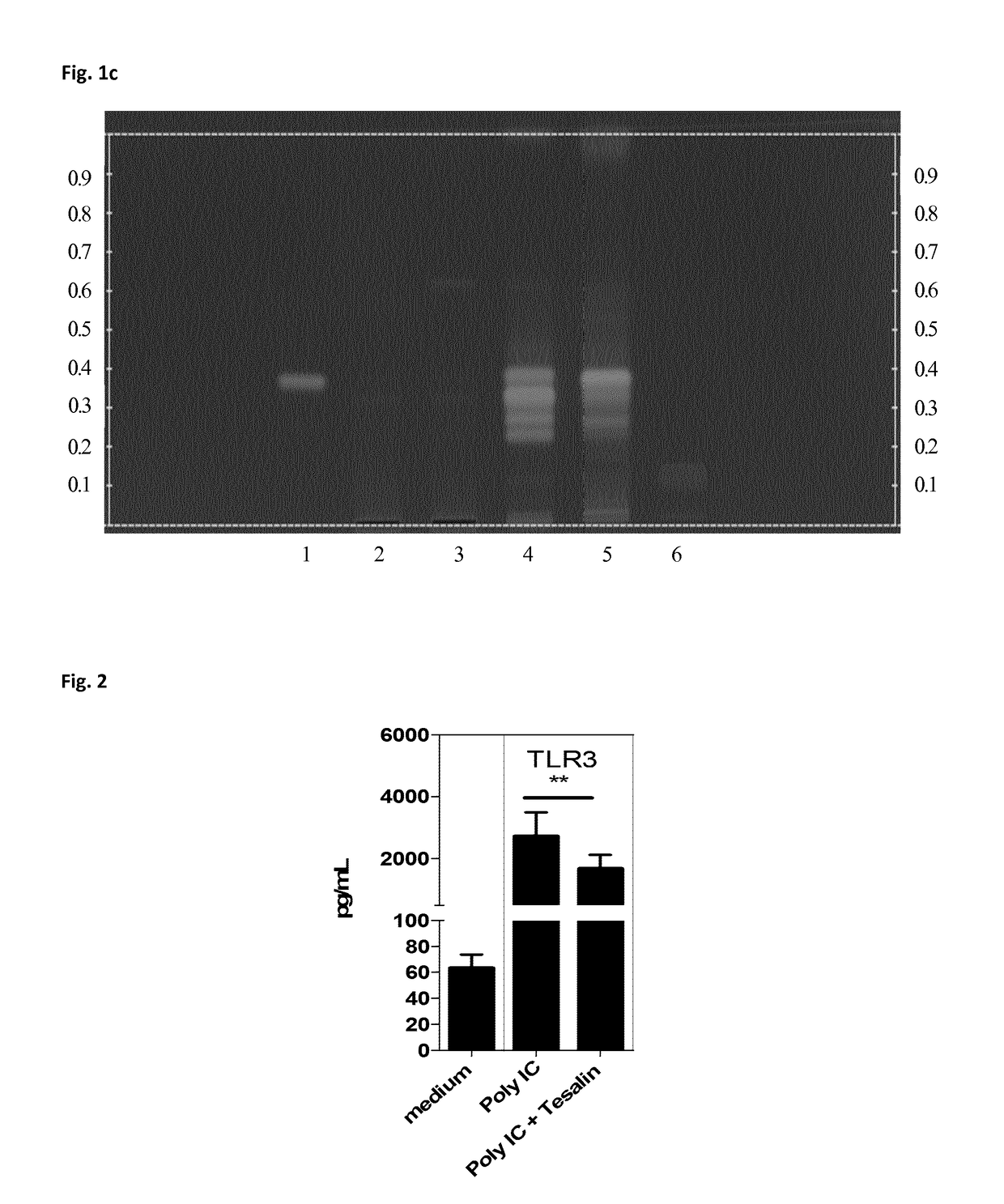 Petasites extract and composition and method for treating viral infections