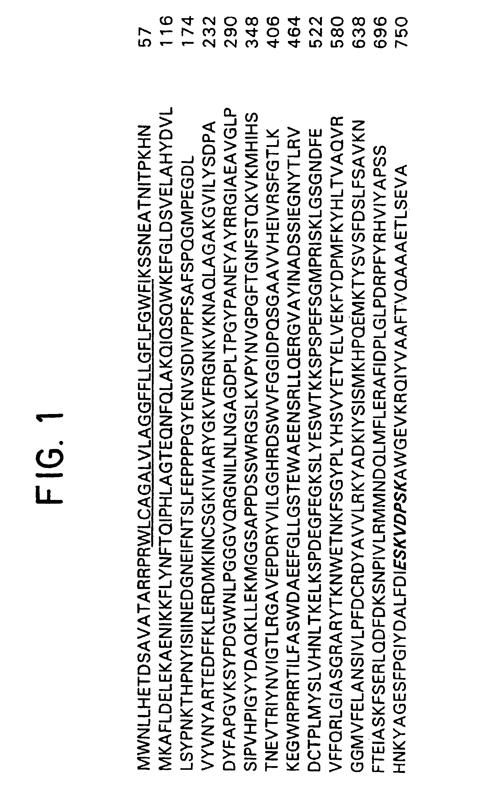 Monoclonal antibody specific for the extracellular domain of prostate specific membrane antigen