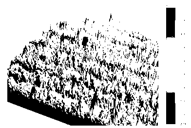 Preparation method of pointed-cone-shaped zinc oxide/nickel oxide heterojunction diodes