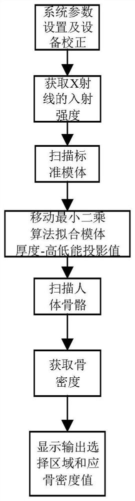 Dual-energy X-ray bone mineral density detection method based on moving least square algorithm