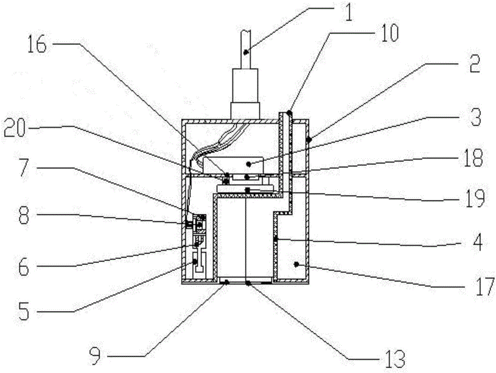 In-situ detection device for chlorophyll concentration of water and detection method of in-situ detection device