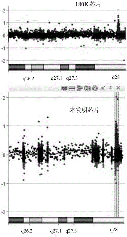 Whole genome copy number detection chip customized for X chromosome high-density probe