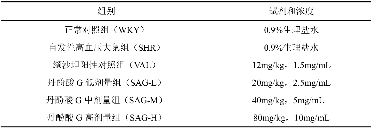 Application of salvianolic acid G to preparation of drug resistant to hypertensive myocardial fibrosis