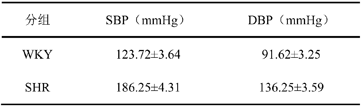 Application of salvianolic acid G to preparation of drug resistant to hypertensive myocardial fibrosis