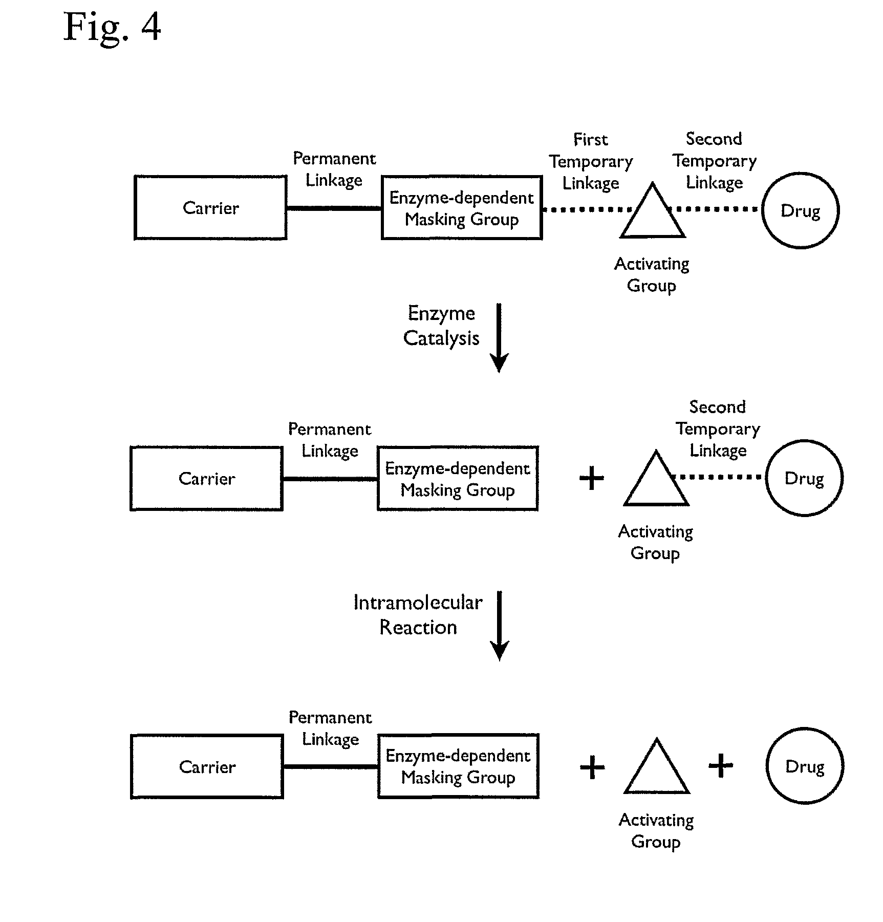 Polymeric prodrug with a self-immolative linker