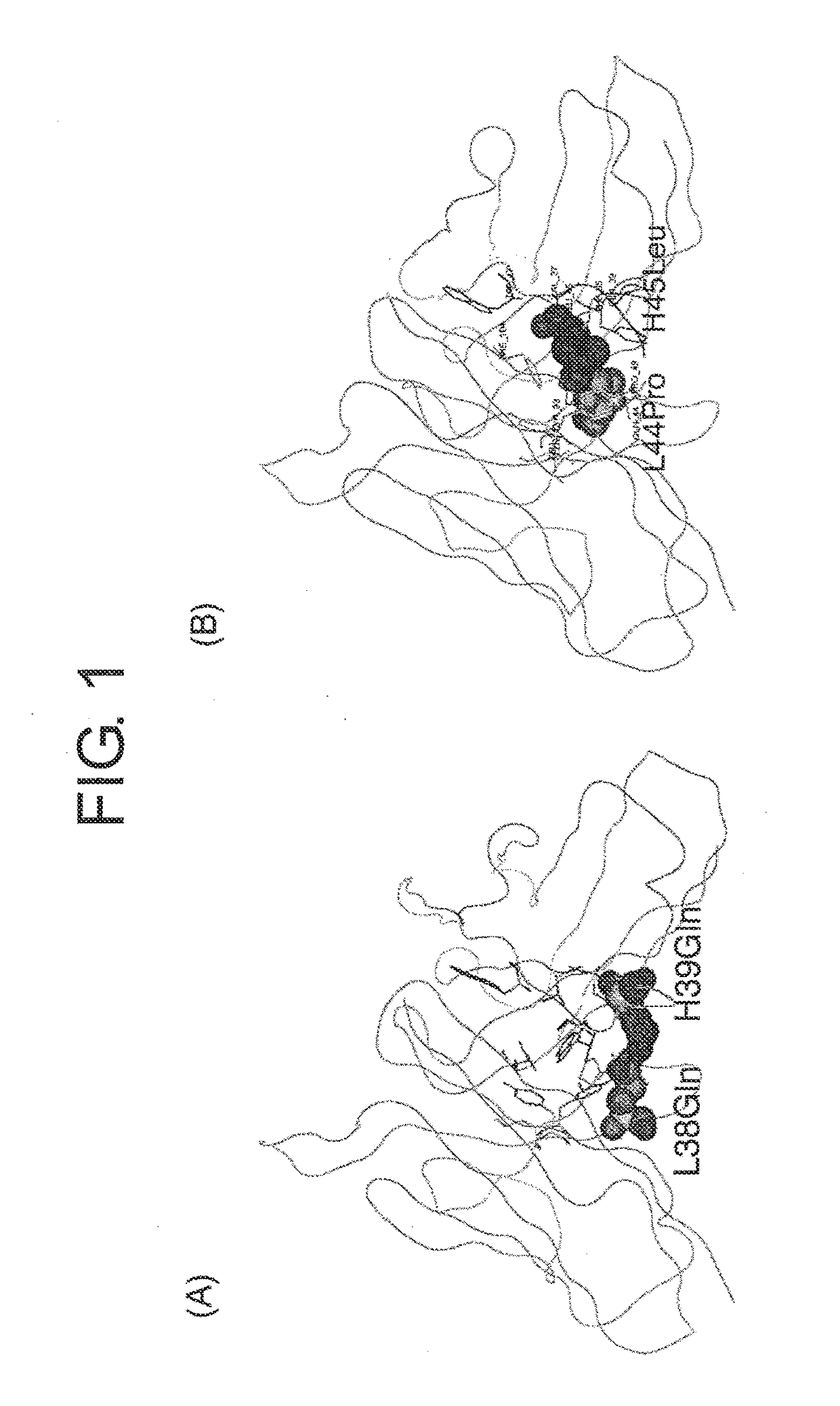 Methods for Producing Polypeptides by Regulating Polypeptide Association