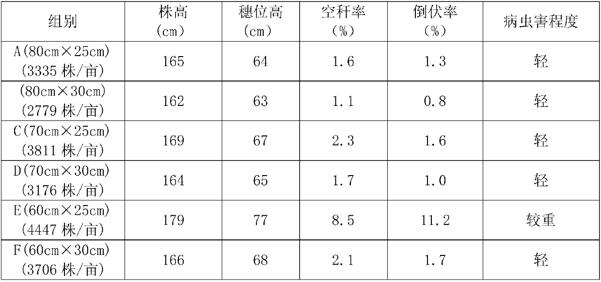 Application of nutritional soil in corn planting