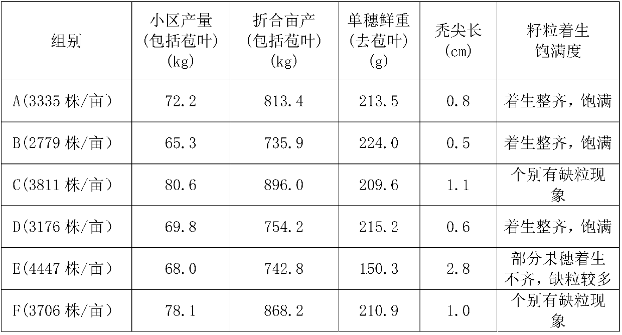 Application of nutritional soil in corn planting