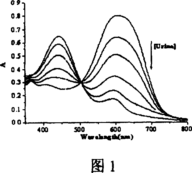 Method for detecting phosphate radical in urine