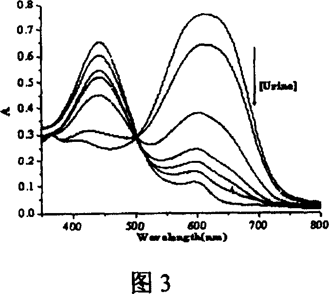 Method for detecting phosphate radical in urine