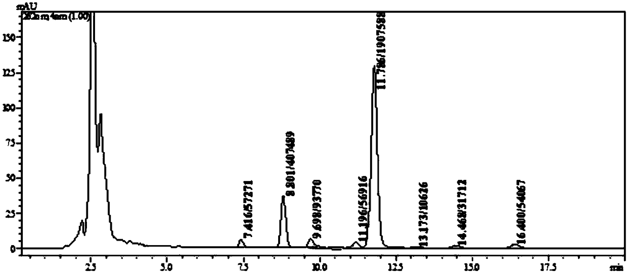 Marine micromonospora strain for fermenting to produce Rakicidin B and application thereof