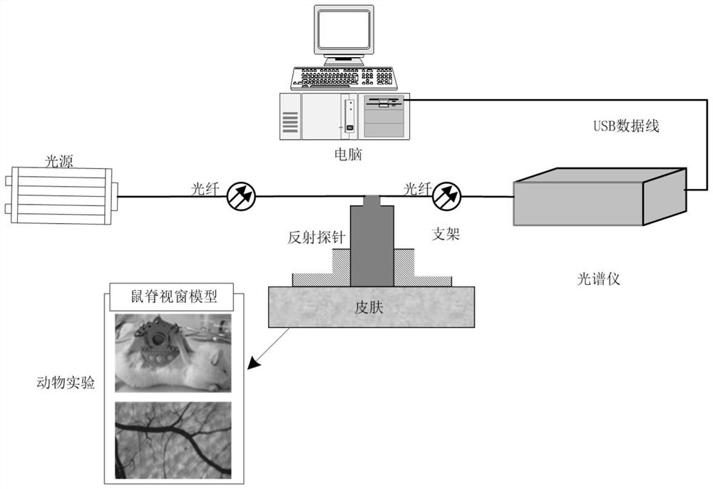 Skin surface reflection spectrum measuring device and measuring method thereof