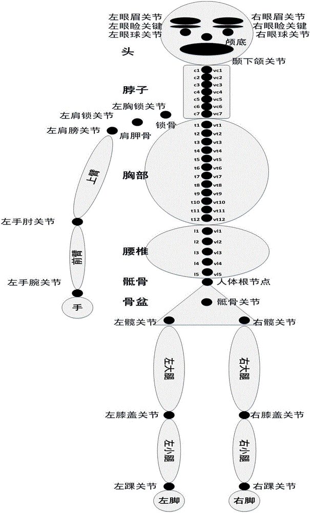 Virtual maintenance behavior synthetic method and system based on human body function parts