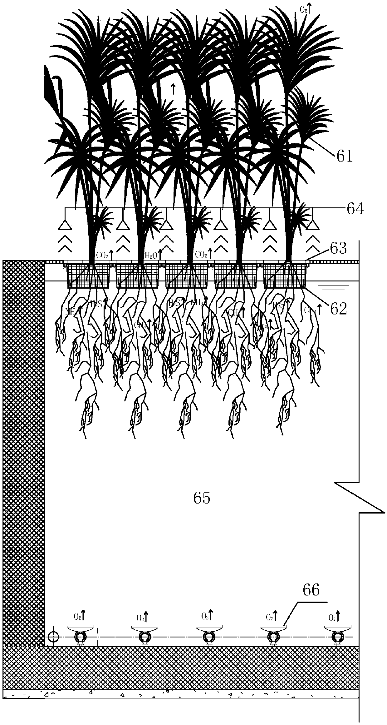 Sewage pond system with deodorizing effect