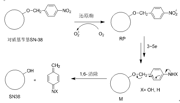 P-nitro aryl methoxycamptothecine anoxic activated prodrug used for antitumor drug