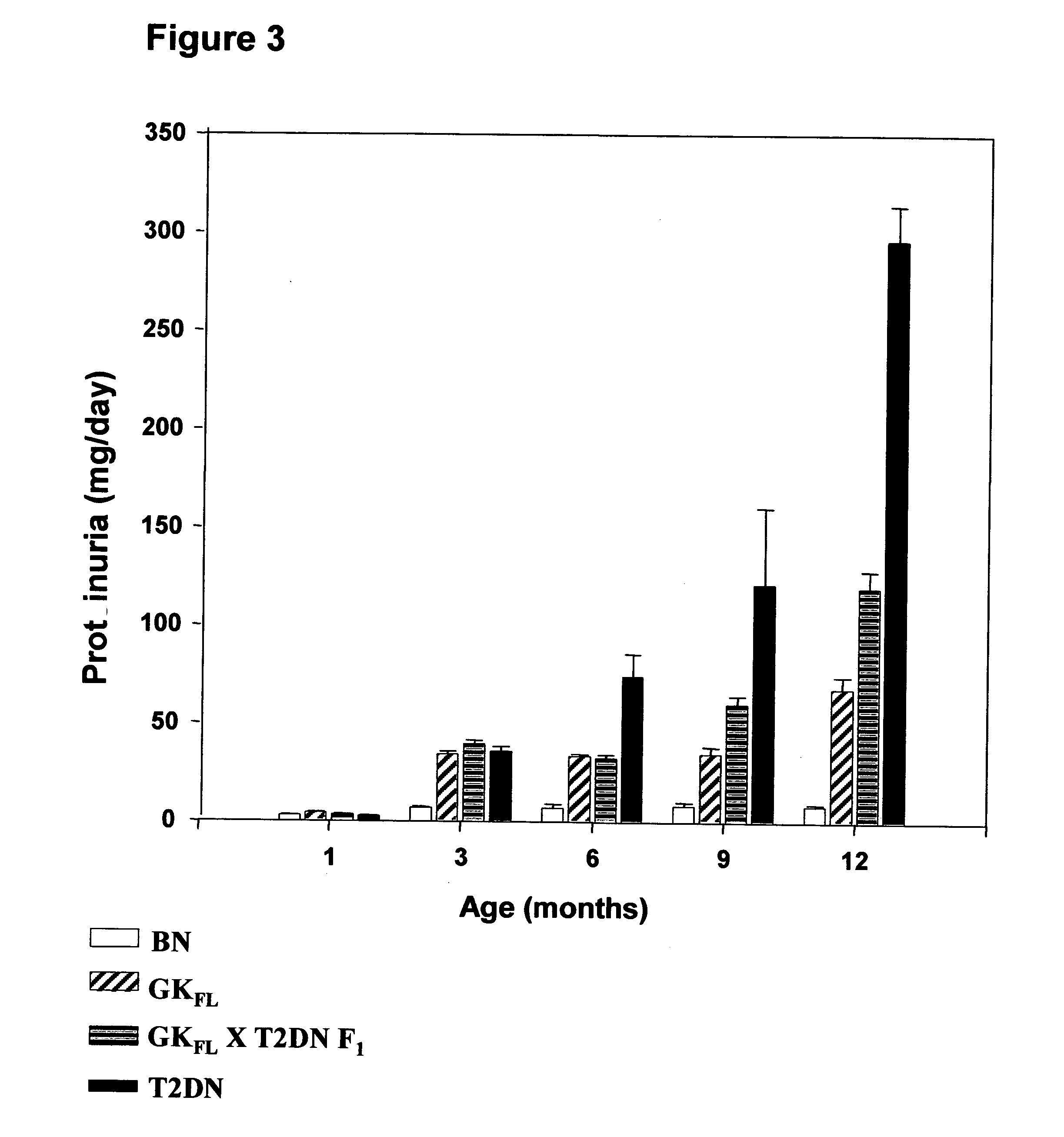 Rat model of diabetic nephropathy