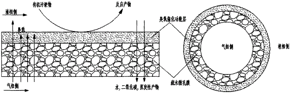 Wastewater advanced treatment equipment and method for catalytic ozonation membrane reactor