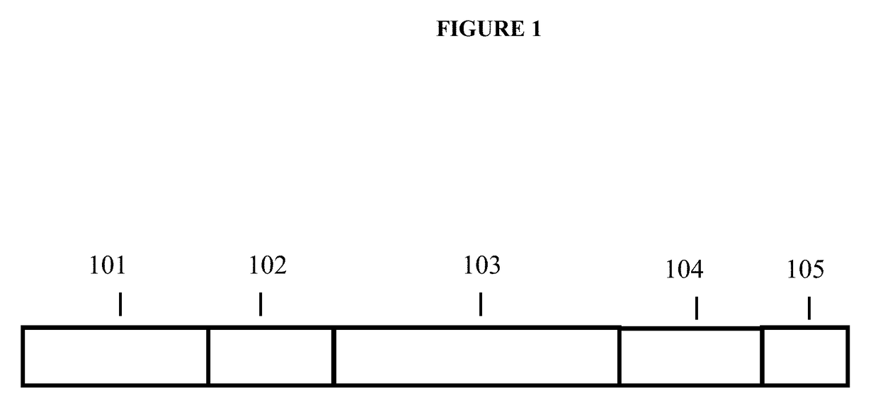 VE-PTP Extracellular Domain Antibodies Delivered by a Gene Therapy Vector