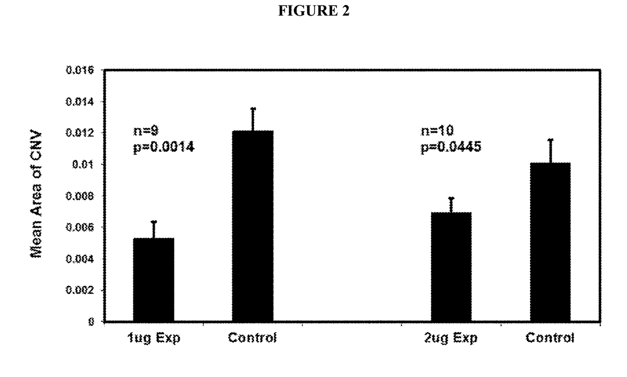 VE-PTP Extracellular Domain Antibodies Delivered by a Gene Therapy Vector