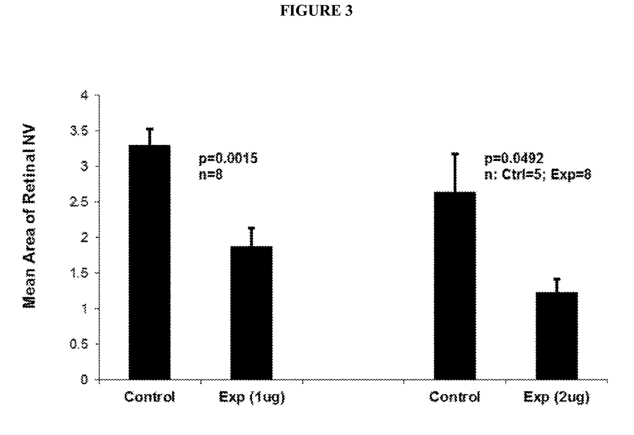 VE-PTP Extracellular Domain Antibodies Delivered by a Gene Therapy Vector