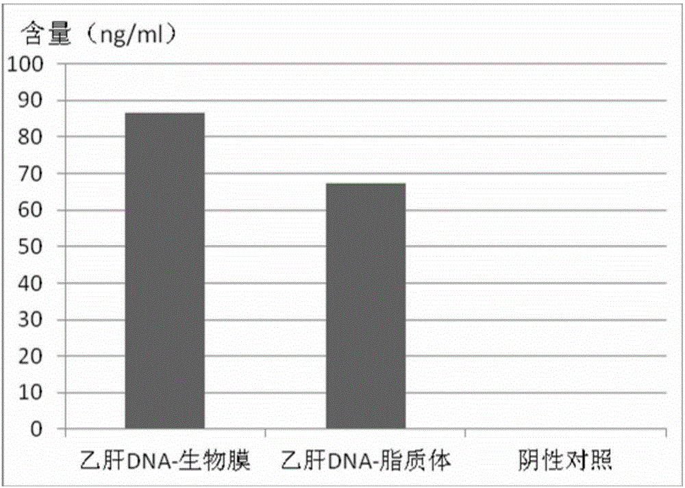 Application of biomembrane or closed structure or cellular compartment with biomembrane properties as cosmetic or cosmetic carrier