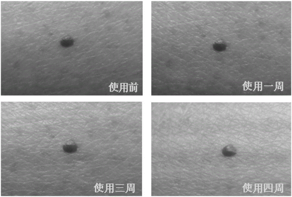 Application of biomembrane or closed structure or cellular compartment with biomembrane properties as cosmetic or cosmetic carrier