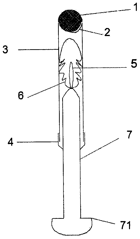 Trans-anorectal object taking device with protective plug cap for laparoscopic surgery