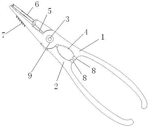 Needle-nose pliers for use in eating crabs