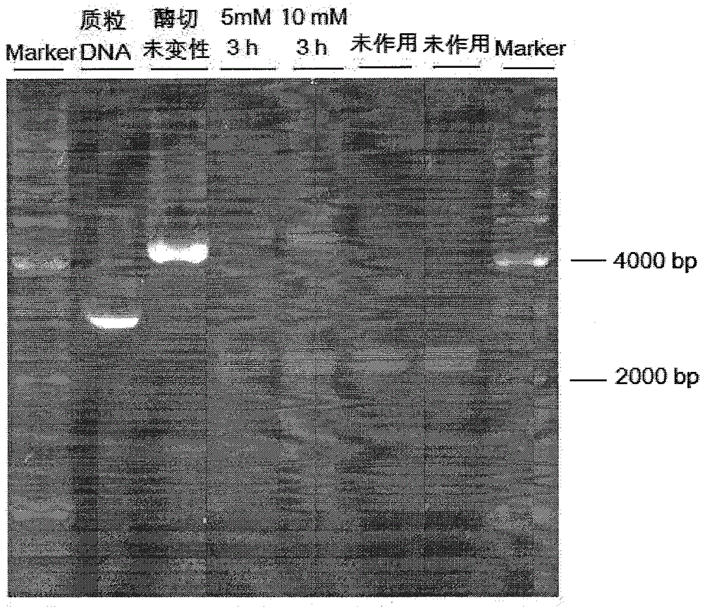 Novel quinazoline mustard compound and its preparation method and tumor treatment application