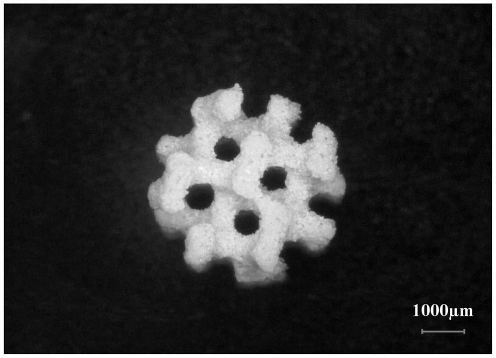 Forming method and product of polyetheretherketone biophilic metal porous bone implant