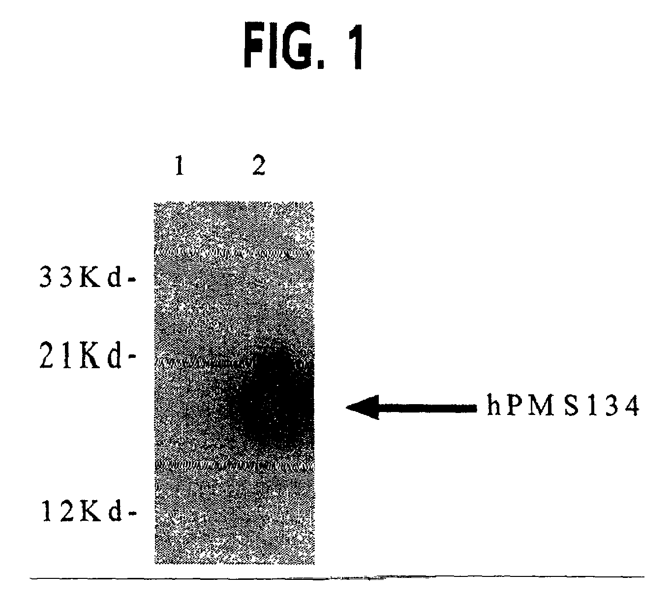 Methods for generating hypermutable microbes