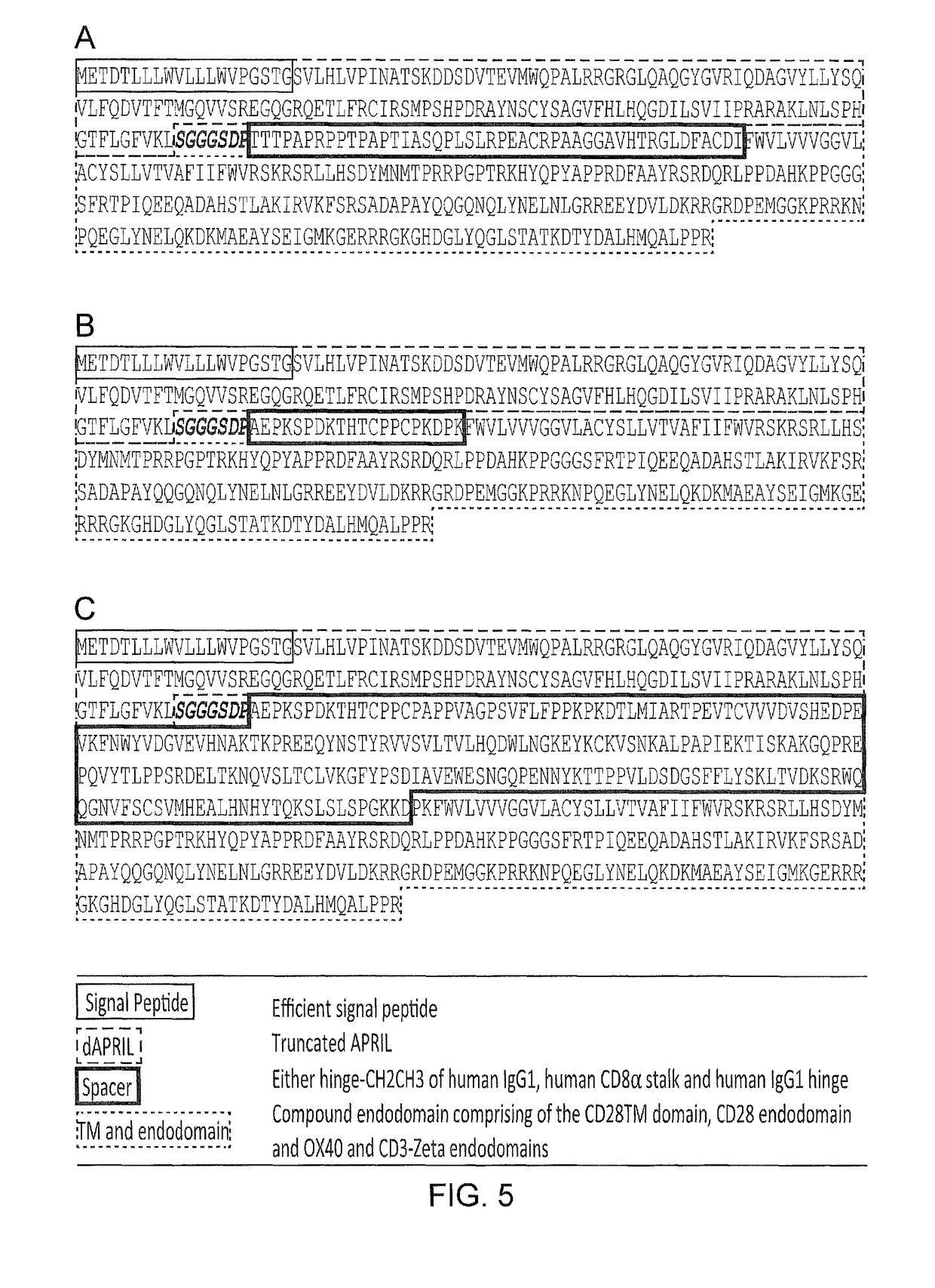 Chimeric antigen receptor