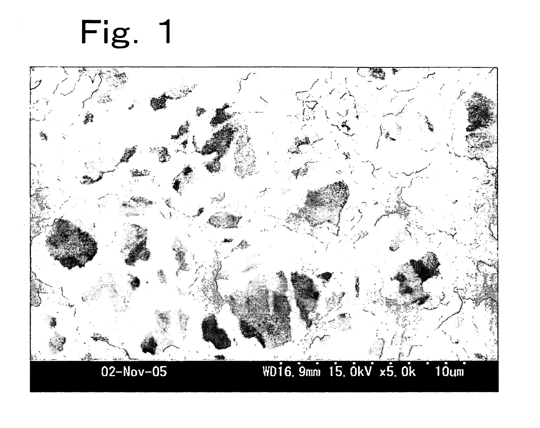 Monolith separation medium for chromatography and process for producing the same