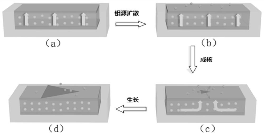 A kind of transition metal chalcogenide thin layer material and its preparation method and application