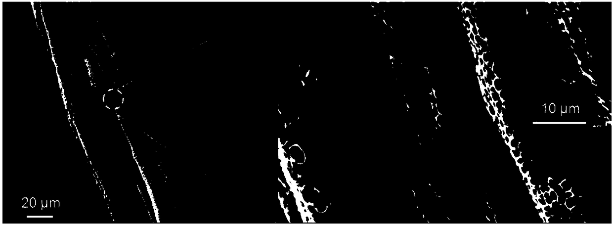 Preparation method of polylactic acid fiber composite surface porous film material