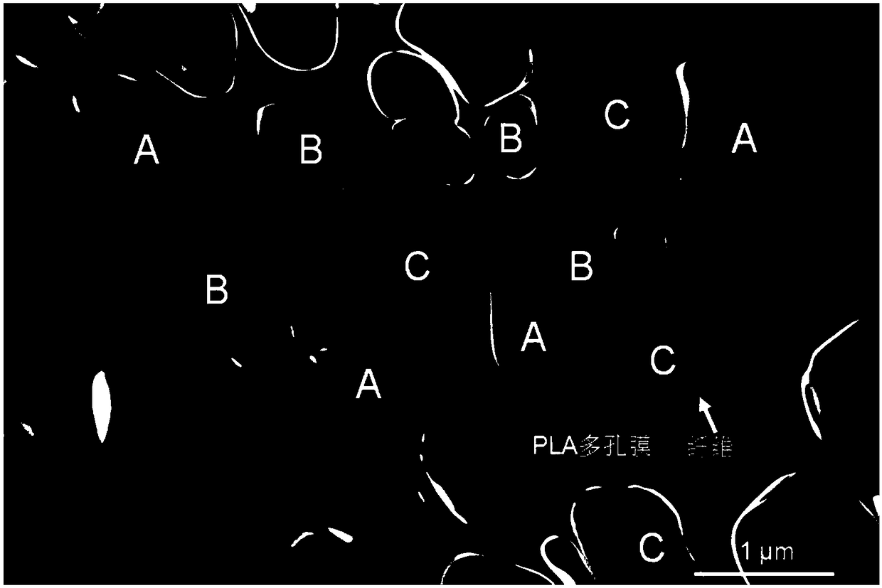 Preparation method of polylactic acid fiber composite surface porous film material