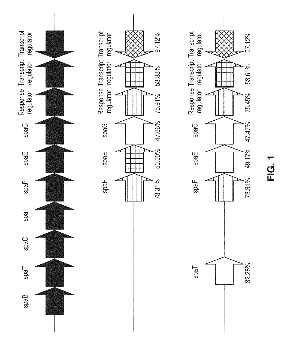 Bacillus amyloliquefaciens rti472 compositions and methods of use for benefiting plant growth and treating plant disease