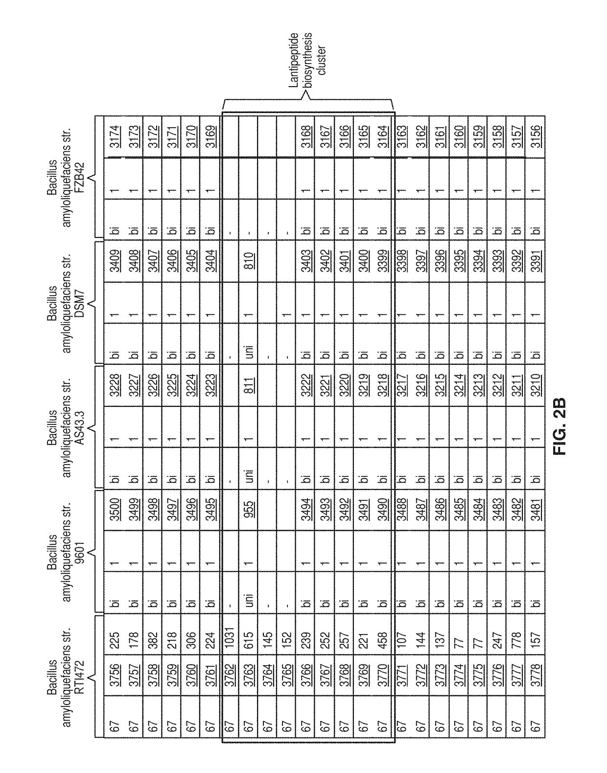 Bacillus amyloliquefaciens rti472 compositions and methods of use for benefiting plant growth and treating plant disease