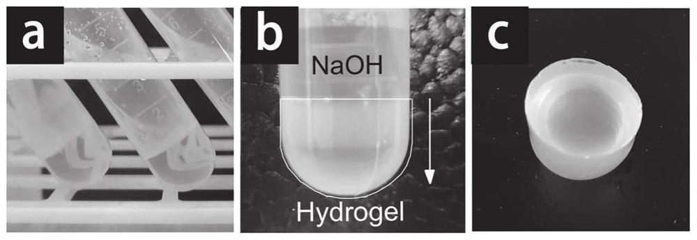 Chitosan/polyethylene glycol hydrogel and preparation method and use thereof