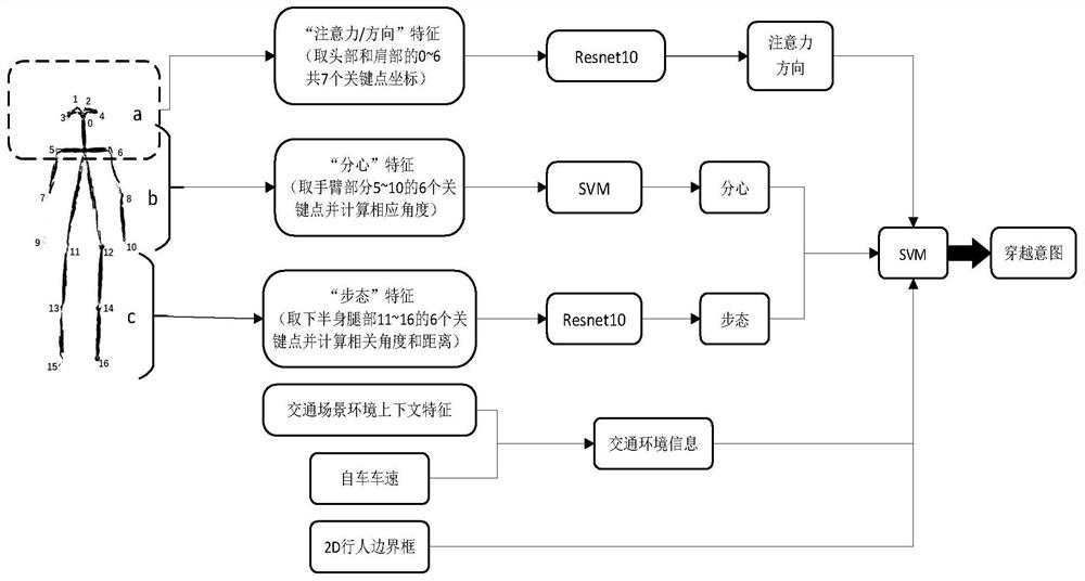 Pedestrian intention multi-task identification and trajectory prediction method under view angle of intelligent automobile