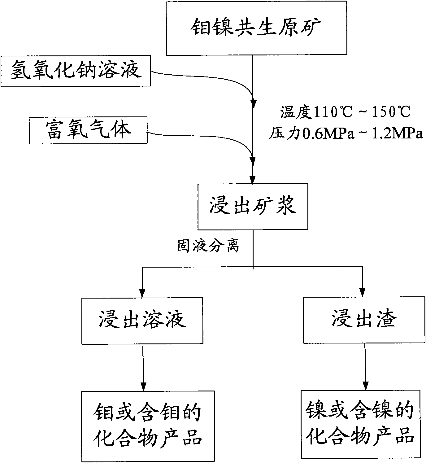 Pressure leaching method of molybdenum-nickel paragenetic raw ore