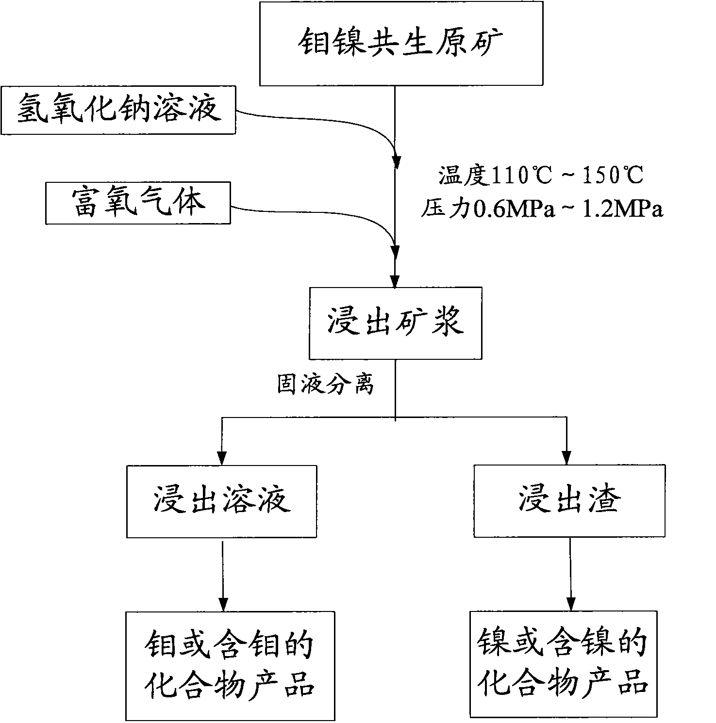 Pressure leaching method of molybdenum-nickel paragenetic raw ore