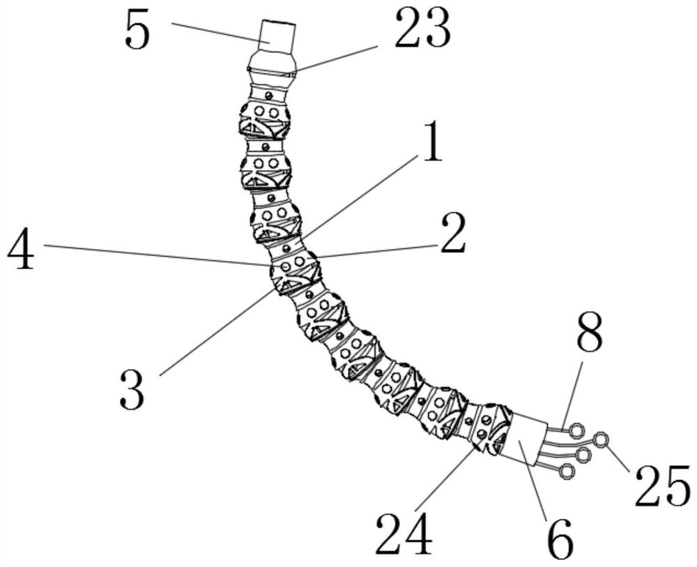 Snake bone structure convenient to assemble and maintain