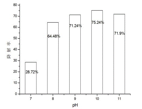 Preparation method of CdSe/CdS core-shell structured quantum dot photocatalyst and application thereof