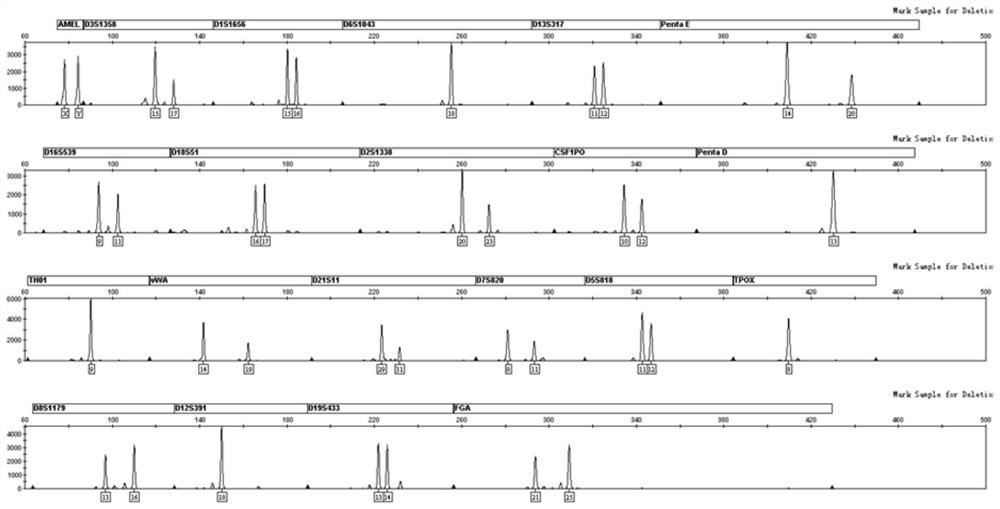 Method for realizing sperm cell separation of mixed spot sample based on polypeptide modified membrane