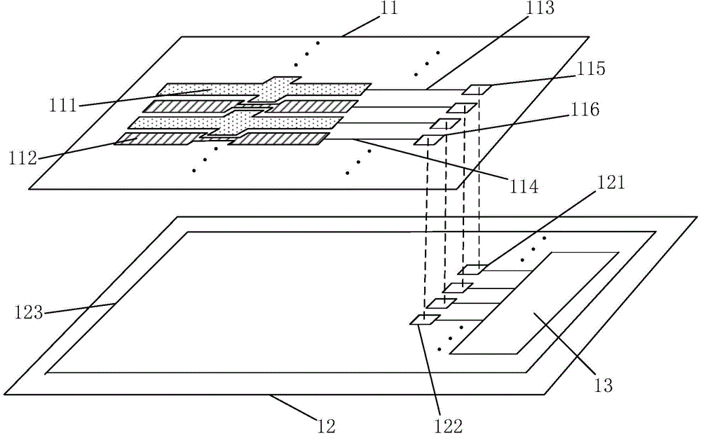 Touch screen display panel and touch screen display device