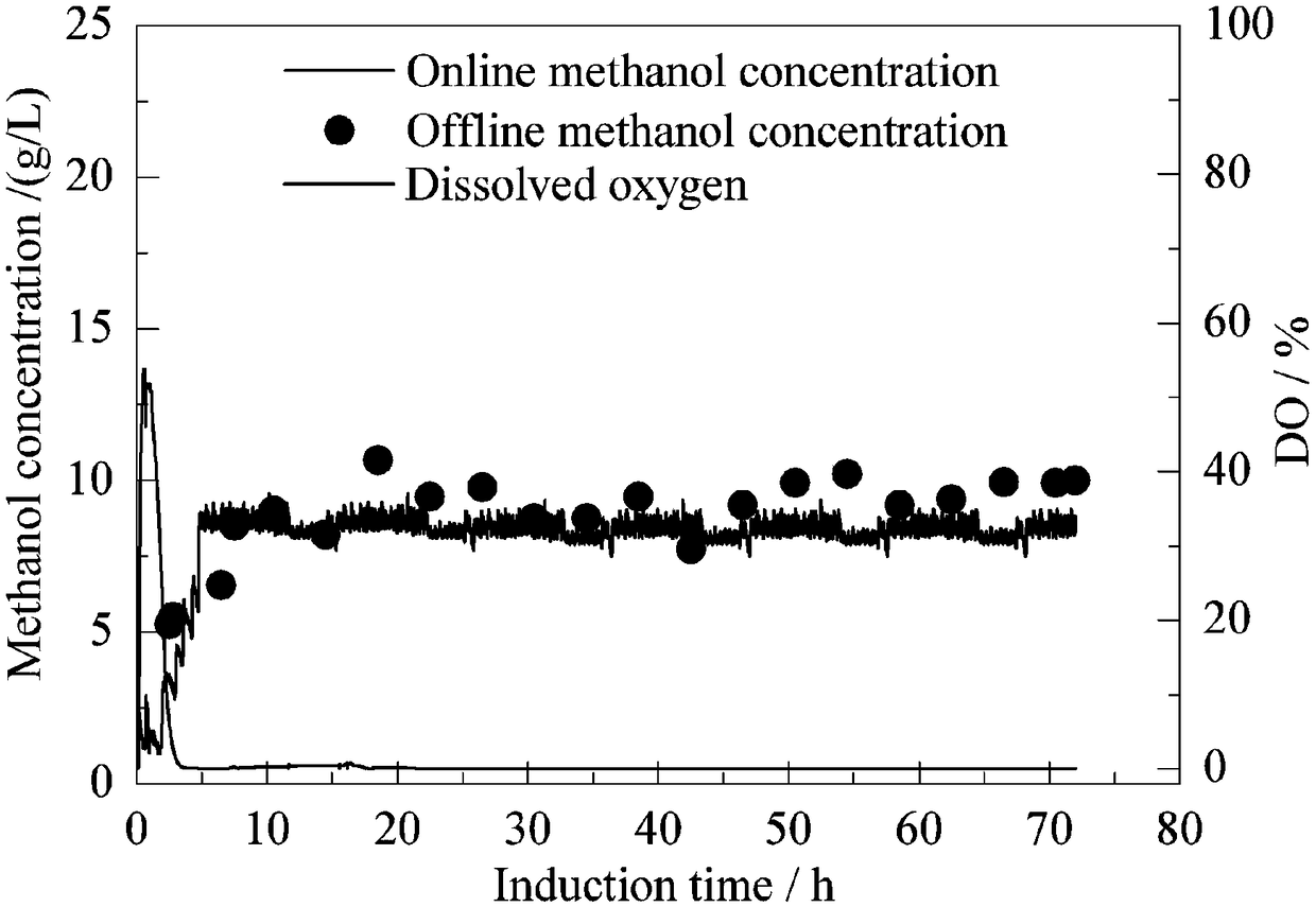 Method for intensifying expression of heterologous protein by MutS type pichia pastoris